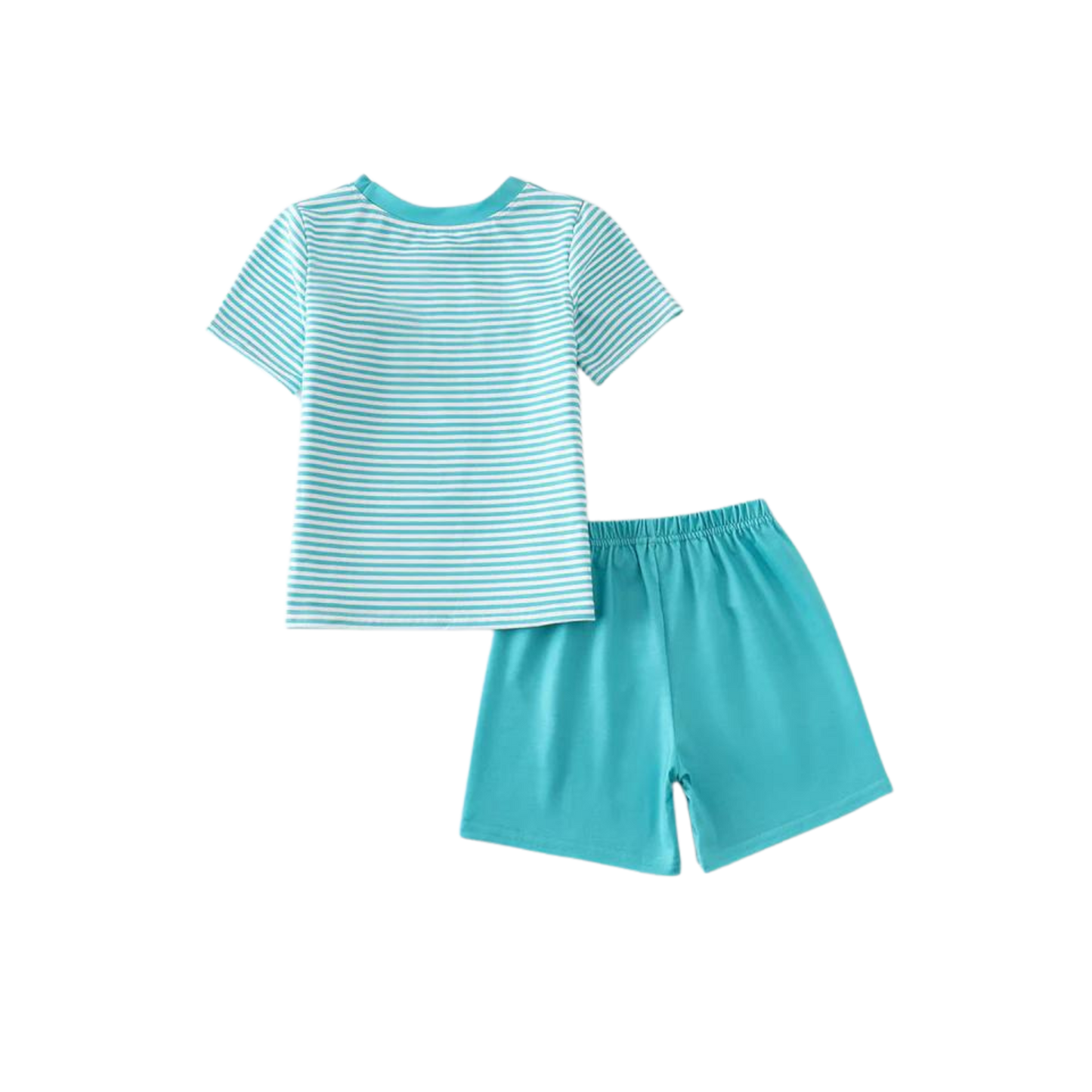 Turtle Stripe Print Embroidered Boy Set